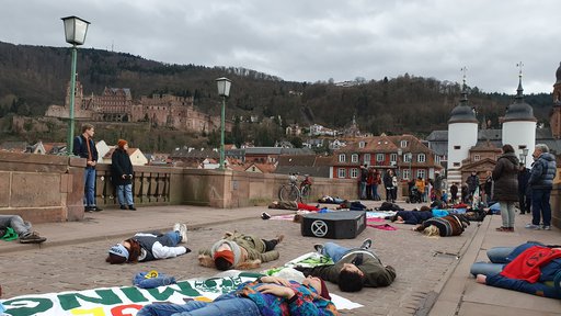 Die-In zum Artensterben