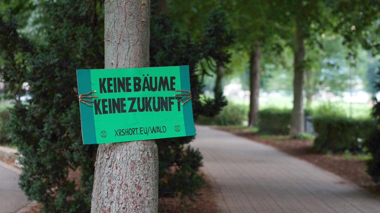 Soli-Aktion: Wir geben den Bäumen eine Stimme!