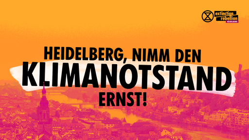 Kohlefreies Heidelberg