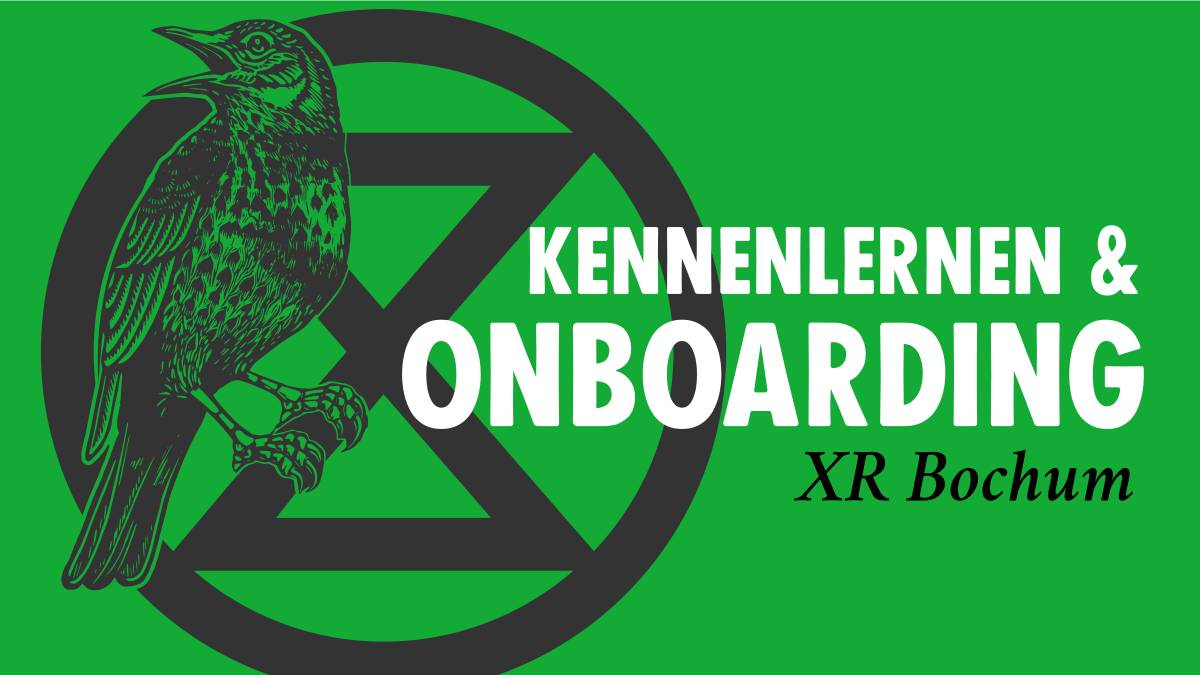 Kennenlernen + Onboarding
