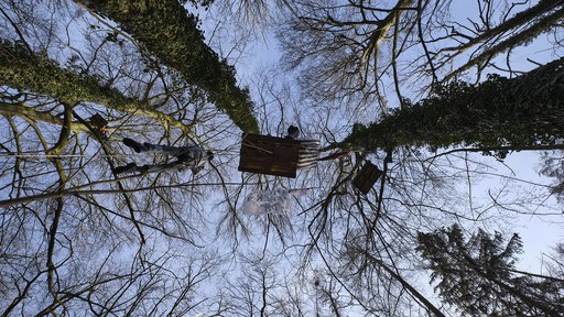 Steini bleibt - Storck gestoppt!