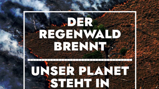 SOS Amazônia – Der Amazonas Regenwald brennt!