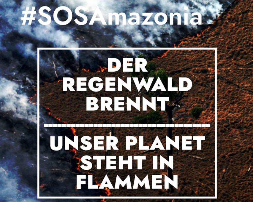 SOS Amazônia – Der Amazonas Regenwald brennt!