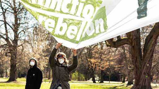 Aufbäumen fürs Klima