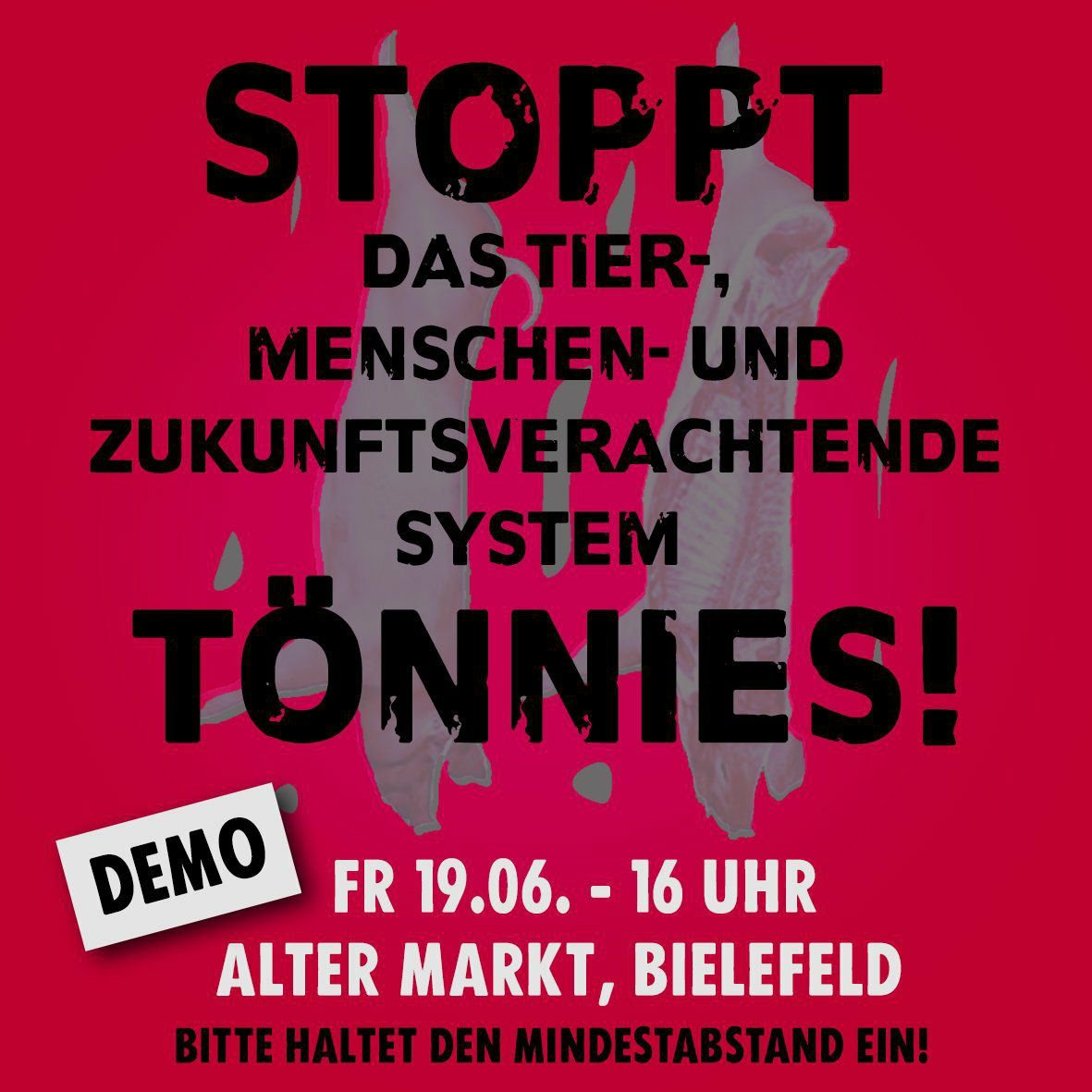 19.06.20  Demo gegen das System Tönnies