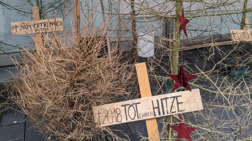 18.12.21 Oh Tannenbaum